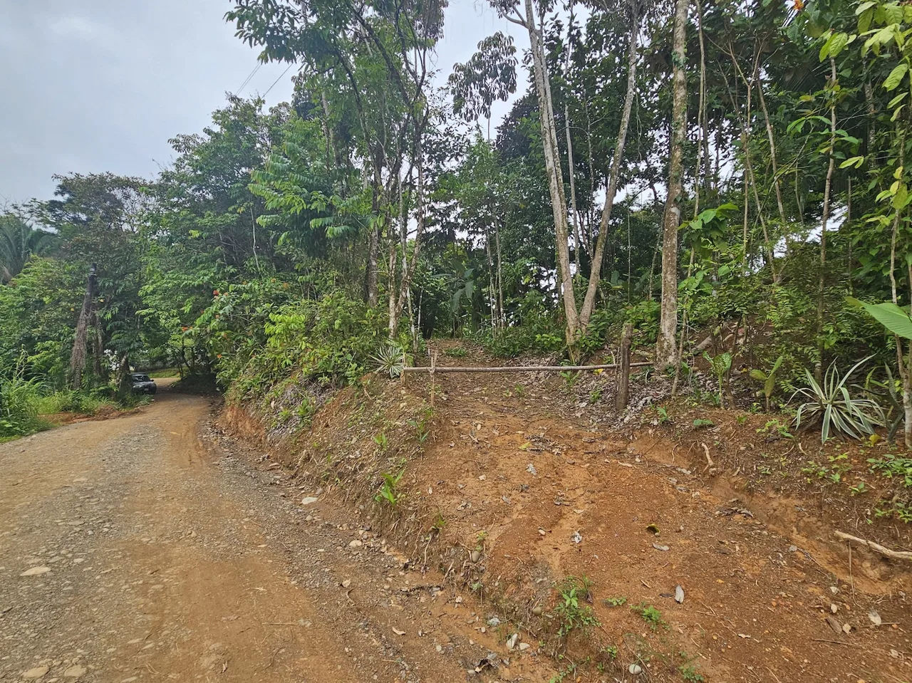 NEW 0.31 ACRES LOT IN UVITA !, photo 5