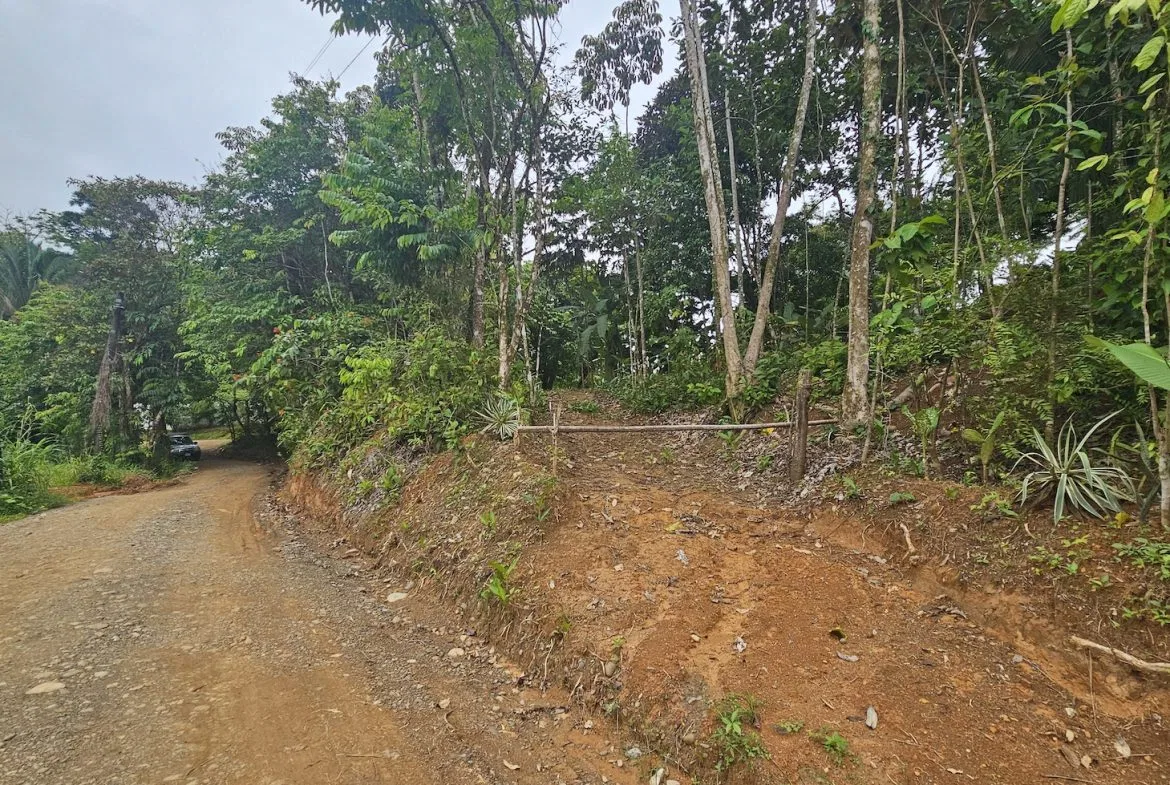 NEW 0.31 ACRES LOT IN UVITA !, photo 6