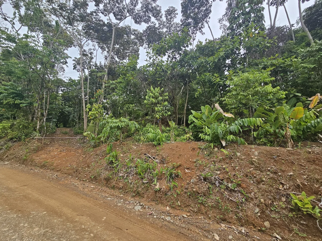 NEW 0.31 ACRES LOT IN UVITA !, photo 7