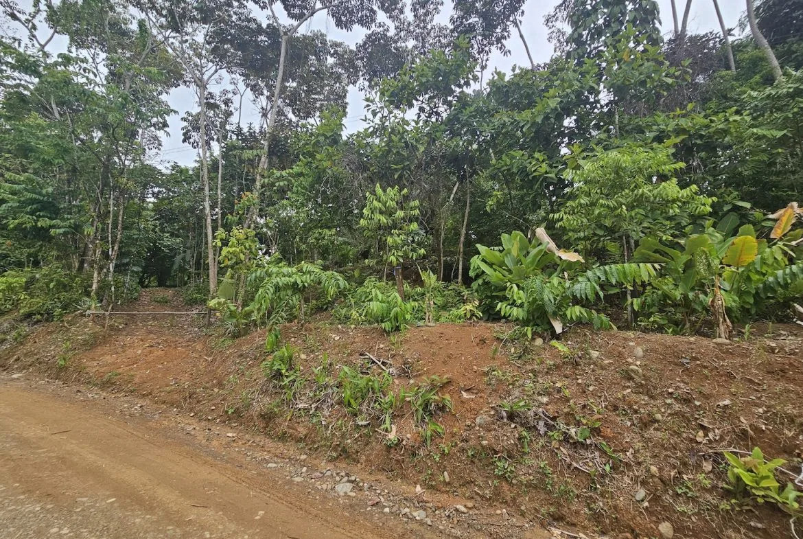 NEW 0.31 ACRES LOT IN UVITA !, photo 8