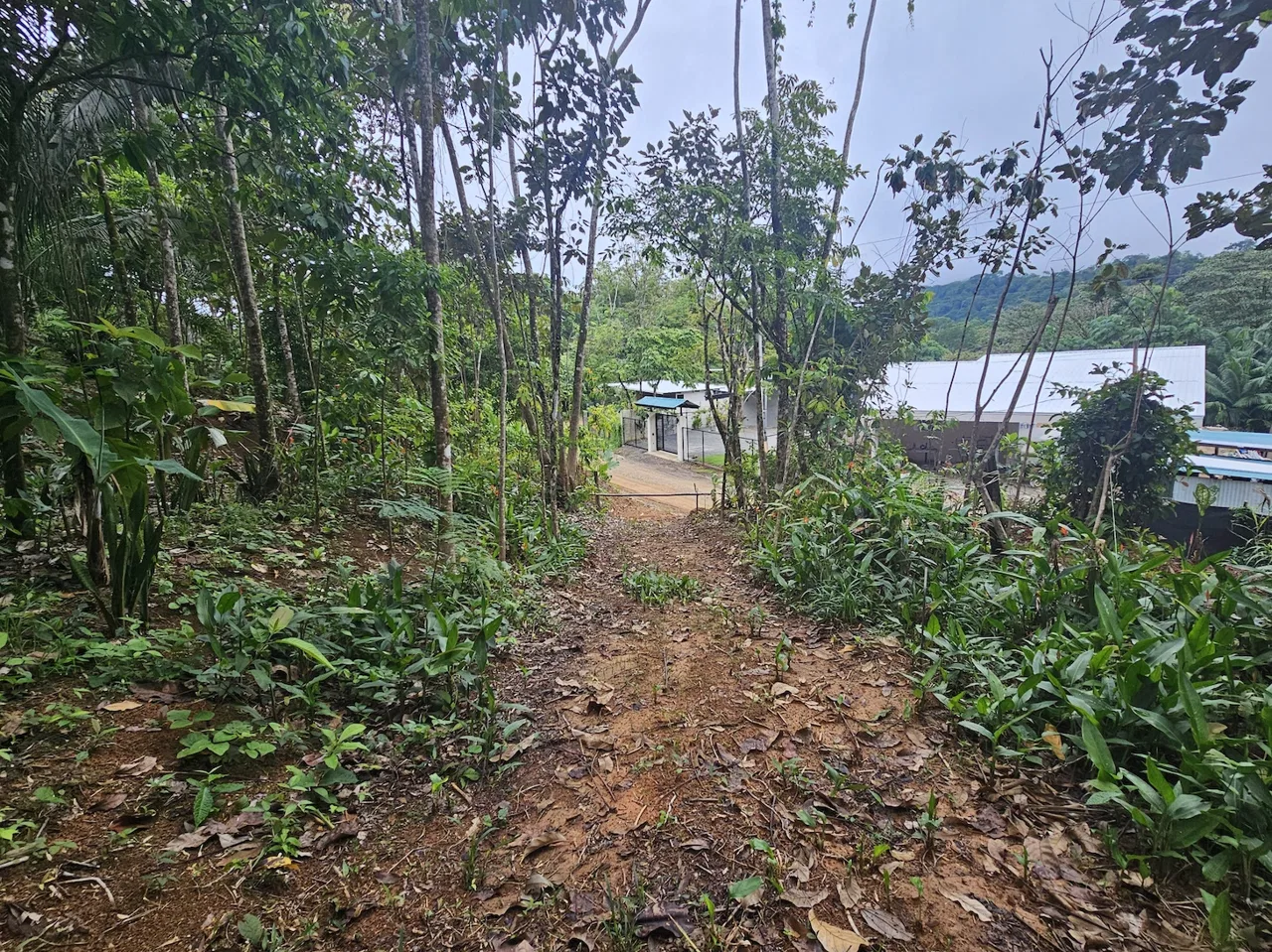 NEW 0.31 ACRES LOT IN UVITA !, photo 9