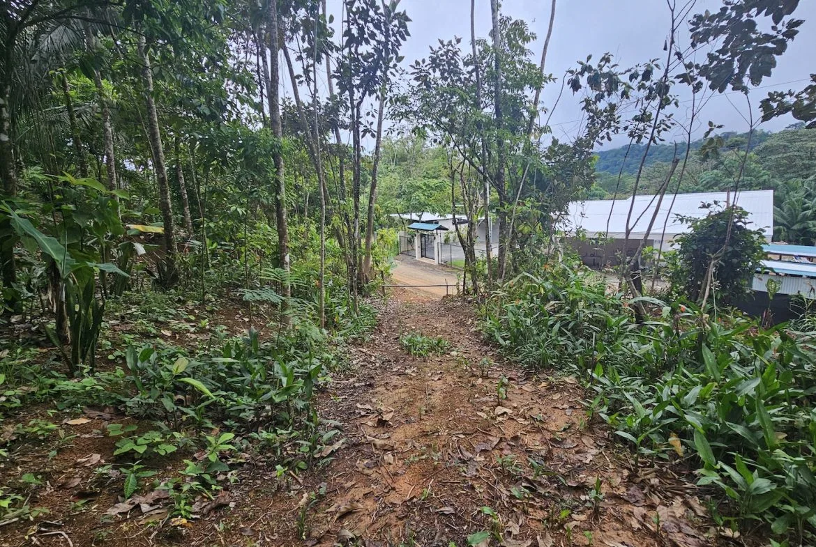 NEW 0.31 ACRES LOT IN UVITA !, photo 10
