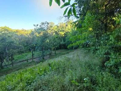 Terreno ribereño en Tres Ríos – 6558 m² de potencial, photo 2