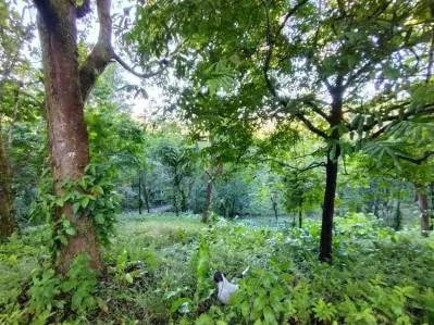 Terreno ribereño en Tres Ríos – 6558 m² de potencial, photo 5