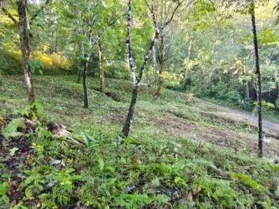 Terreno ribereño en Tres Ríos – 6558 m² de potencial, photo 8