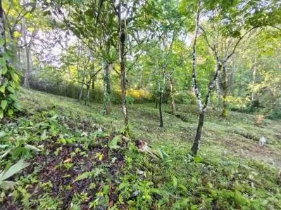 Terreno ribereño en Tres Ríos – 6558 m² de potencial, photo 9