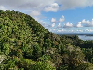 IMPRESIONANTE PROPIEDAD CON VISTA AL MAR Y AL RÍO TERRABA EN OJOCHAL, photo 10