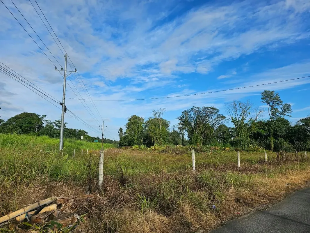 Oportunidad Única: Terreno Estratégico Frente a Ruta 32, Ideal para Desarrollo Comercial o Industrial, photo 6