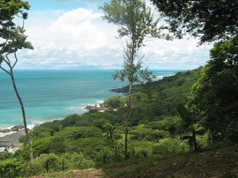 Land For Sale in Delicias