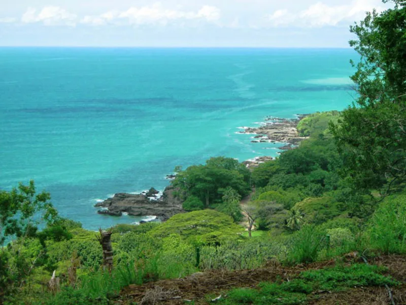 Land For Sale in Delicias, photo 4
