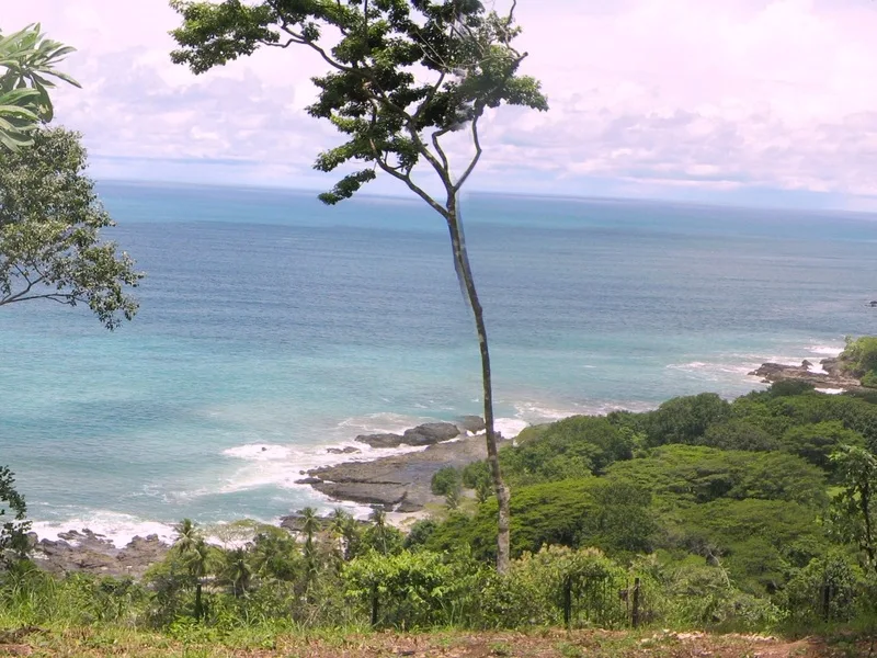 Land For Sale in Delicias, photo 5