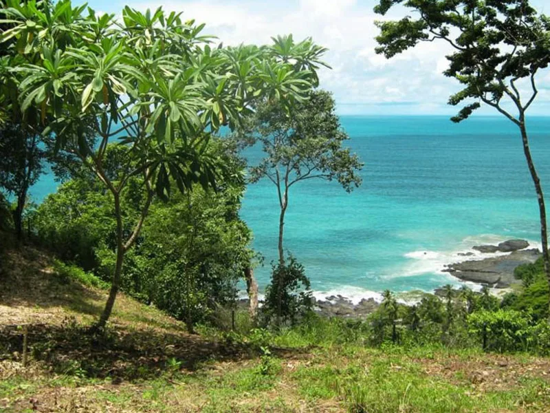 Land For Sale in Delicias, photo 6