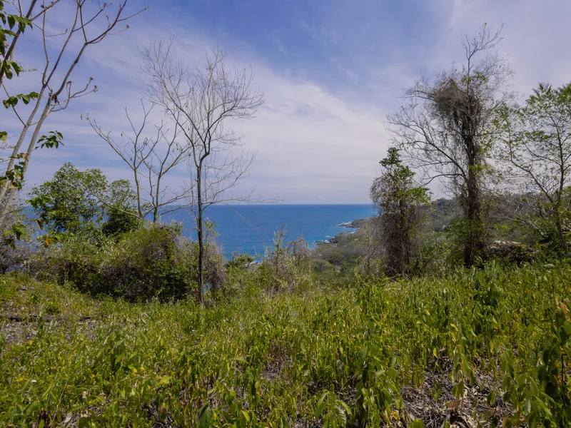Land For Sale in Delicias, photo 7