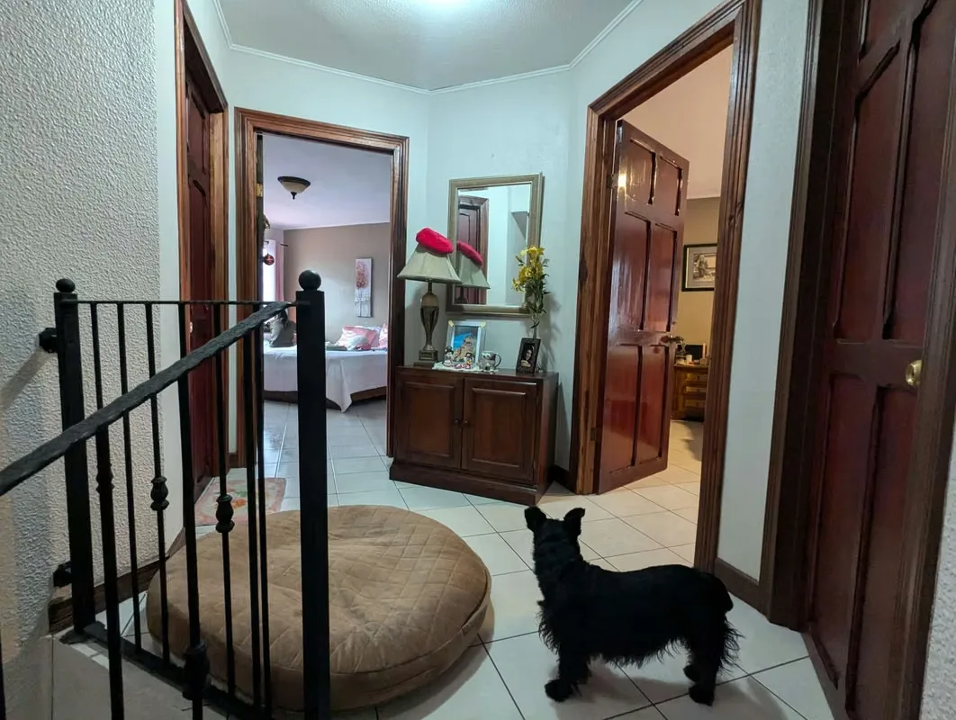 Beautiful corner house, next to a stream, which gives a relaxing sound that can be enjoyed on the terrace. Located in an urbanization with beautiful properties, the area is completely ..., photo 12