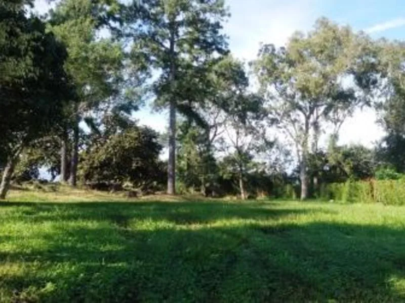 Land For Sale in La Guacima