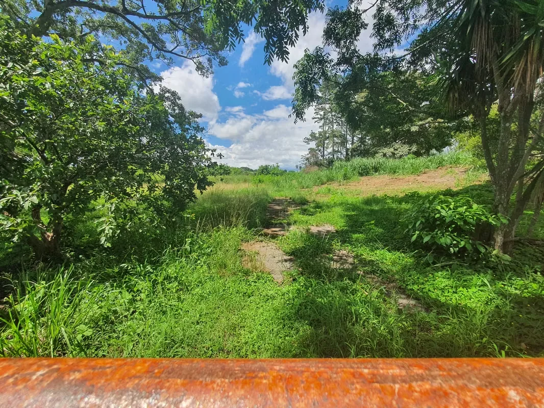 A solo 13 min y 6.3 Km del peaje hacia Ciudad Colón se encuentra este precioso lote, en un área campestre, plano y rectangular, ideal para construir la casa de sus sueños y disfrutar ..., photo 3