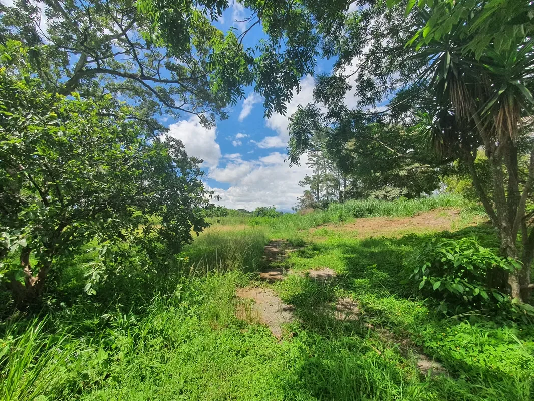 A solo 13 min y 6.3 Km del peaje hacia Ciudad Colón se encuentra este precioso lote, en un área campestre, plano y rectangular, ideal para construir la casa de sus sueños y disfrutar ..., photo 4