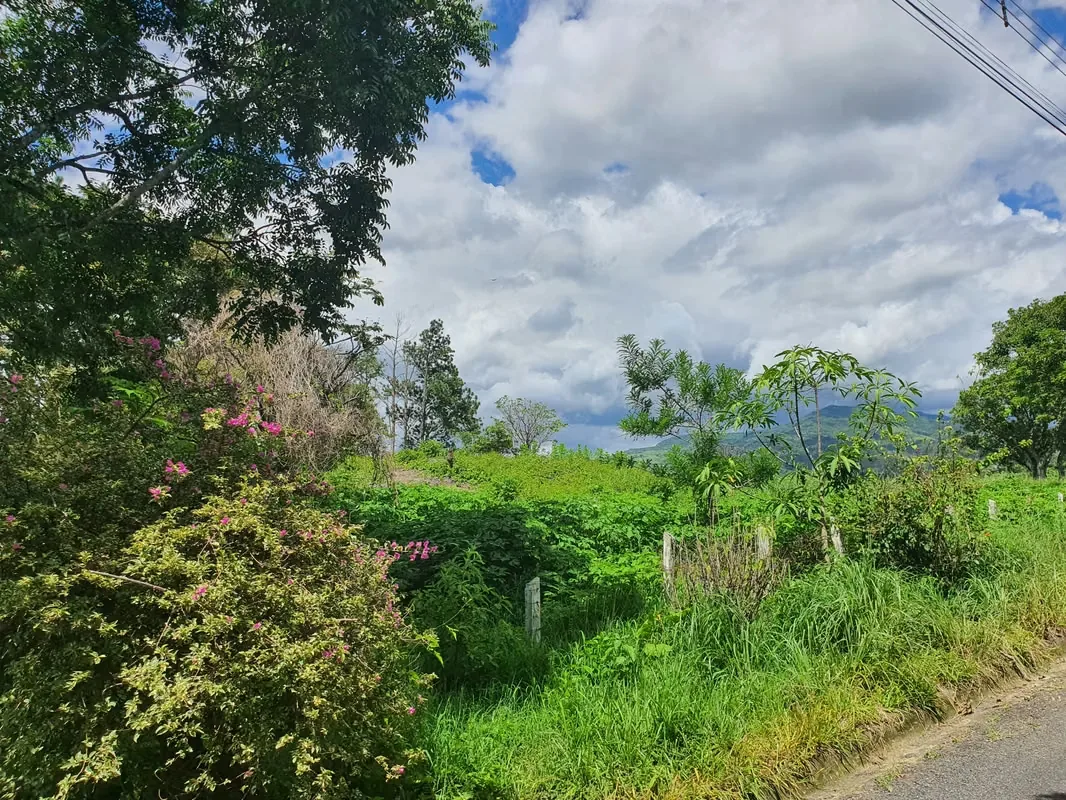 A solo 13 min y 6.3 Km del peaje hacia Ciudad Colón se encuentra este precioso lote, en un área campestre, plano y rectangular, ideal para construir la casa de sus sueños y disfrutar ..., photo 6