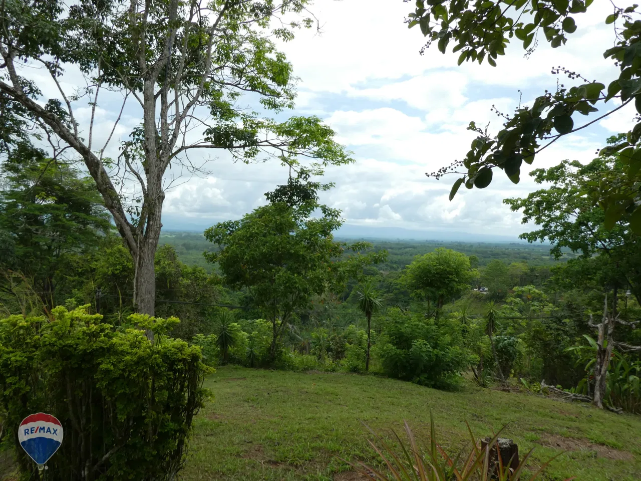 Business Opportunity Ranch | RE/MAX Jungle Properties