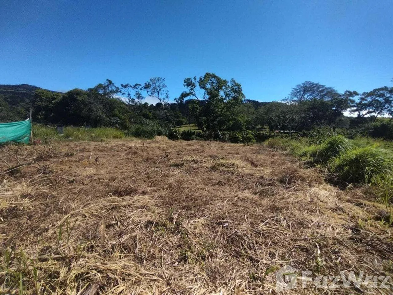 Land for Sale at Bo. Jesús for $135,000, photo 4