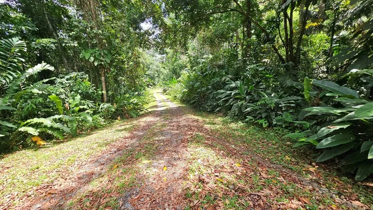 8001 sqm of  Off-Grid Raw Jungle land in Gated Community near Punta Uva, photo 4