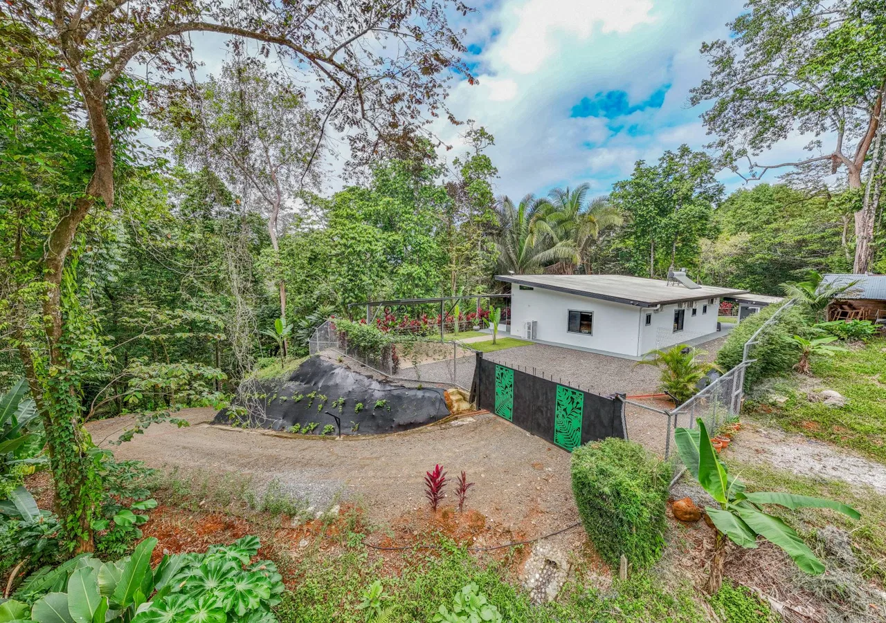 JUNGLE PROPERTY IN VENTANAS OJOCHAL –  2.19 ACRES, photo 11
