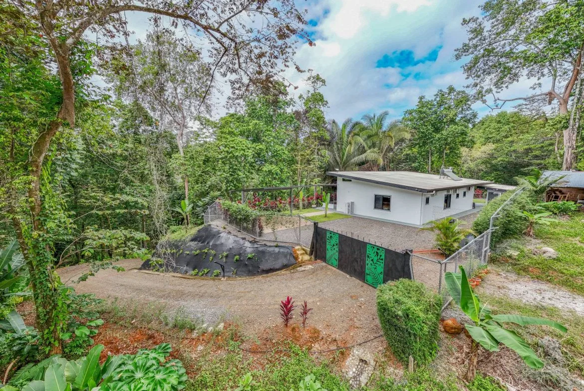 JUNGLE PROPERTY IN VENTANAS OJOCHAL –  2.19 ACRES, photo 12