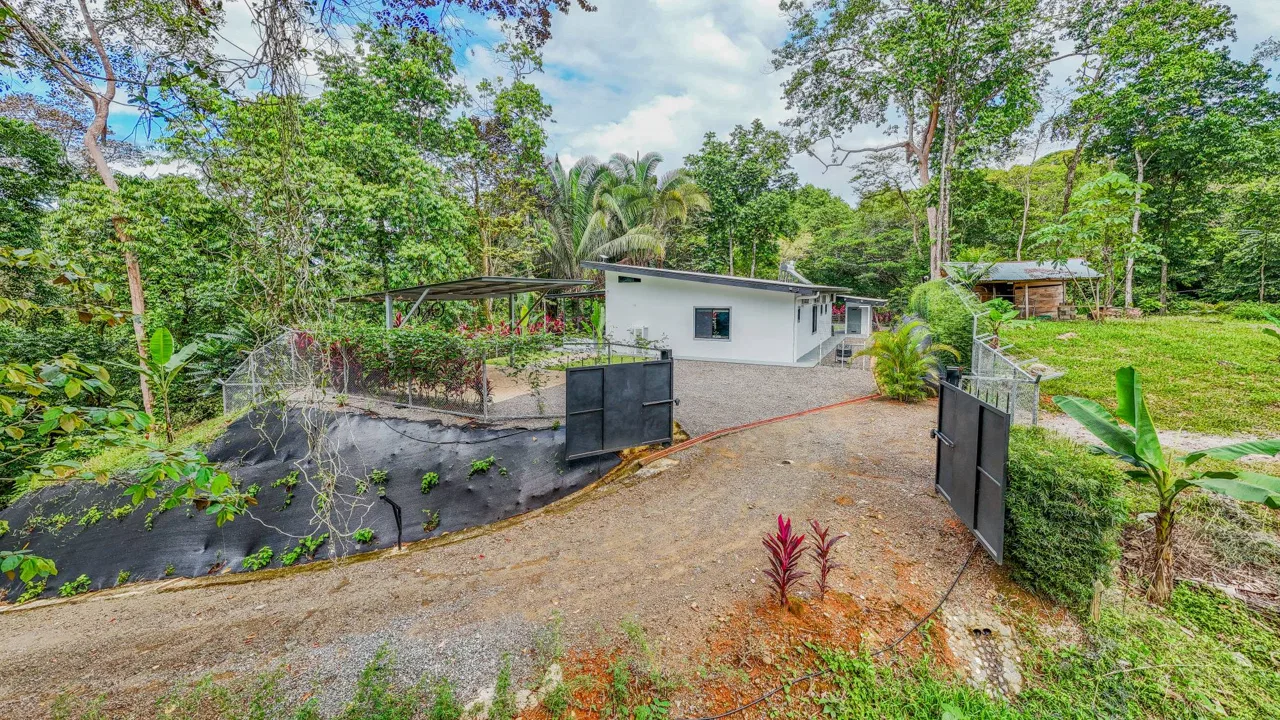 JUNGLE PROPERTY IN VENTANAS OJOCHAL –  2.19 ACRES, photo 13