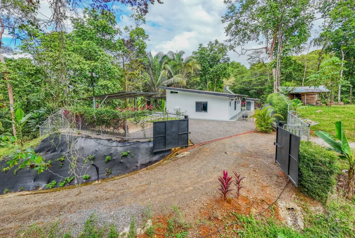 JUNGLE PROPERTY IN VENTANAS OJOCHAL –  2.19 ACRES, photo 14