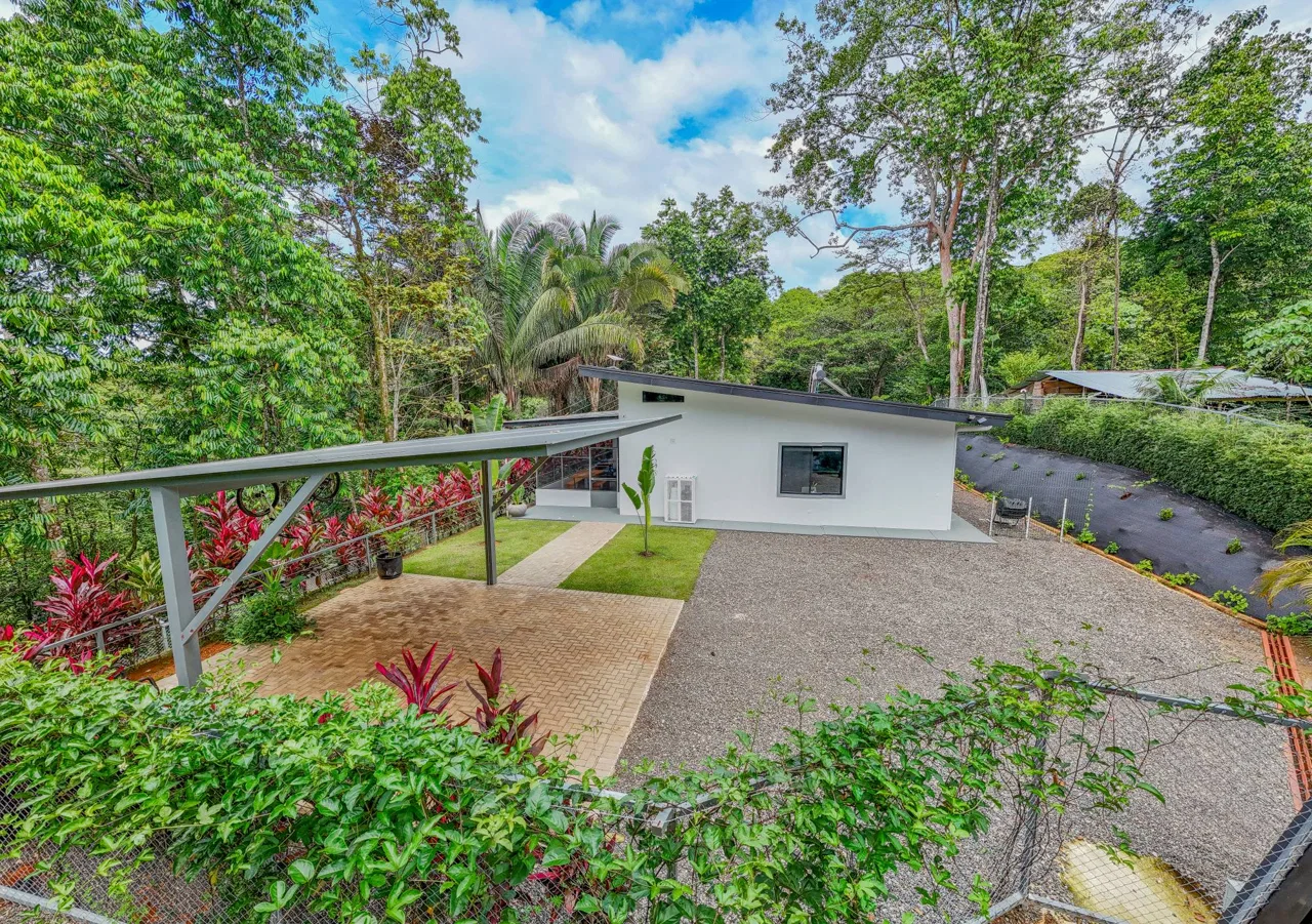 JUNGLE PROPERTY IN VENTANAS OJOCHAL –  2.19 ACRES, photo 15