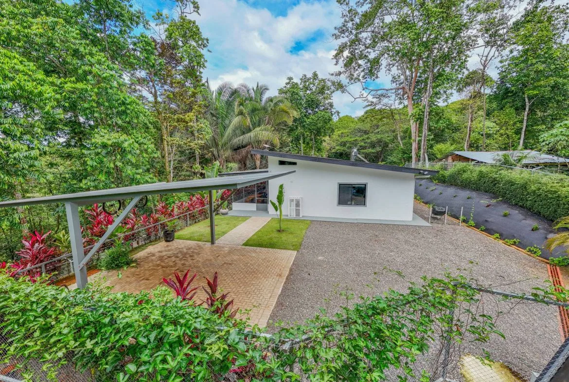 JUNGLE PROPERTY IN VENTANAS OJOCHAL –  2.19 ACRES, photo 16