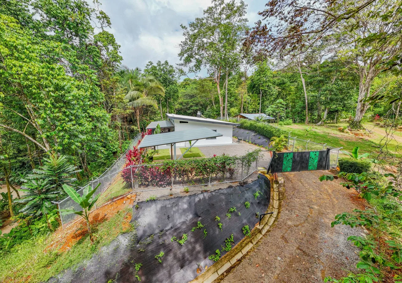 JUNGLE PROPERTY IN VENTANAS OJOCHAL –  2.19 ACRES, photo 9