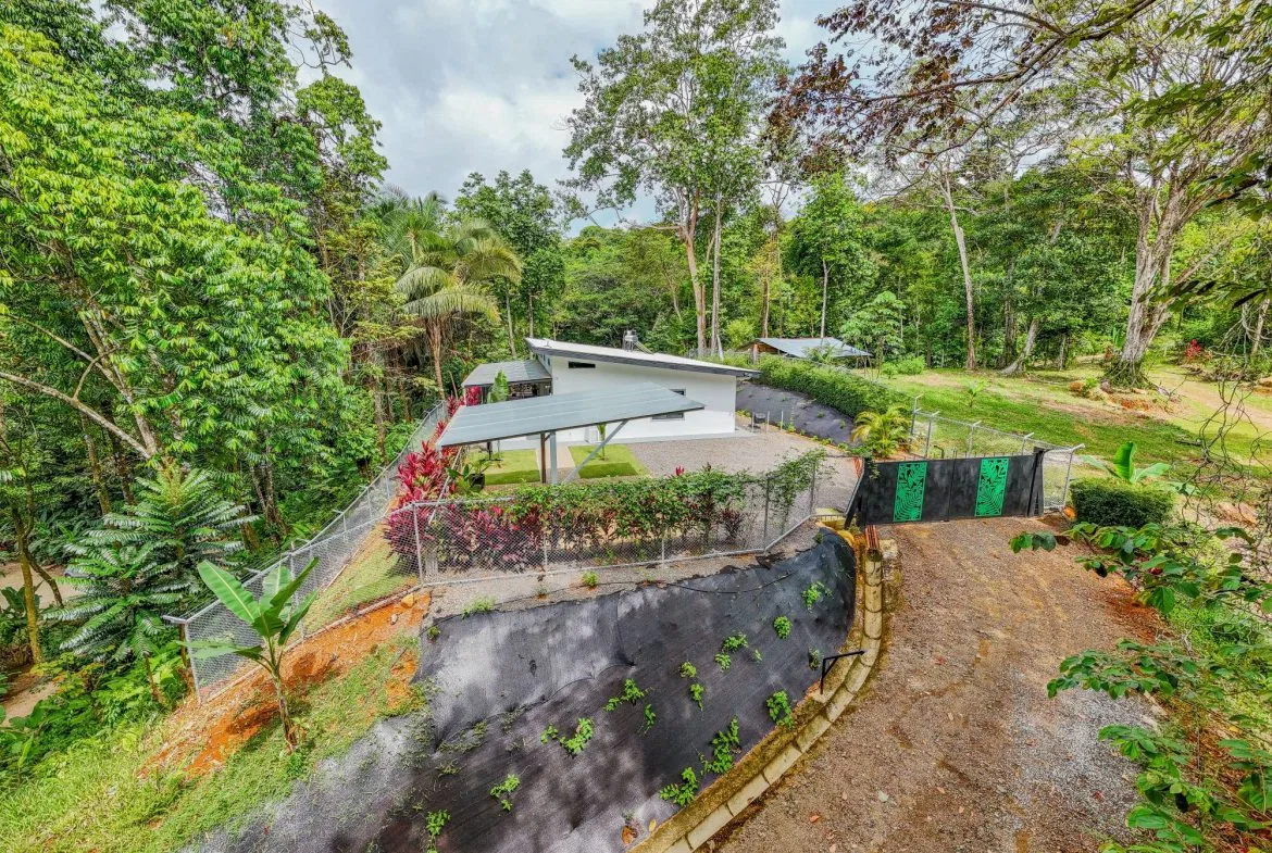 JUNGLE PROPERTY IN VENTANAS OJOCHAL –  2.19 ACRES, photo 10