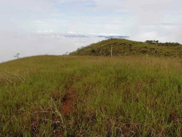 Amazing Self-sufficient 315 Acre Farm, photo 11