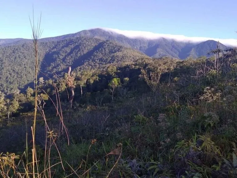 Amazing Self-sufficient 315 Acre Farm, photo 4