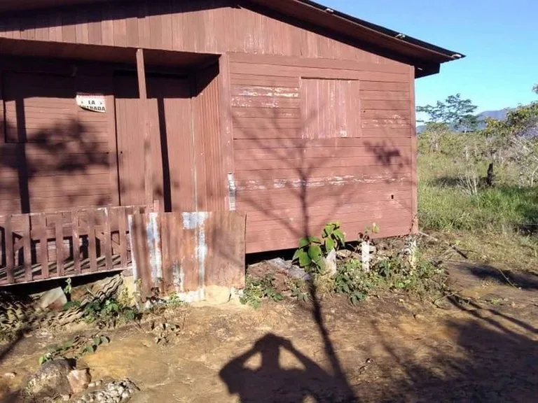 Amazing Self-sufficient 315 Acre Farm, photo 5