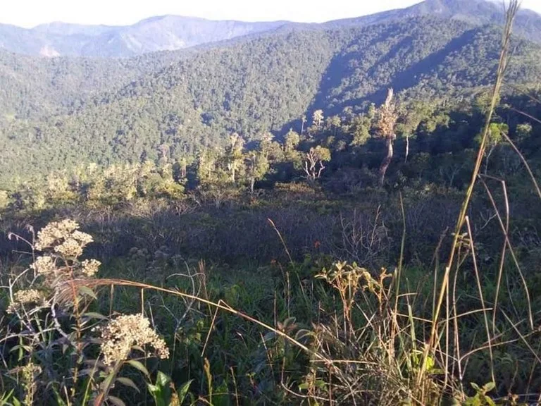 Amazing Self-sufficient 315 Acre Farm, photo 6