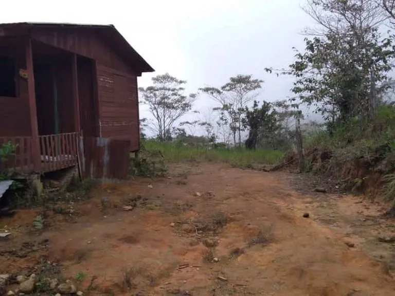 Amazing Self-sufficient 315 Acre Farm, photo 9