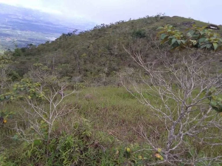 Amazing Self-sufficient 315 Acre Farm, photo 10