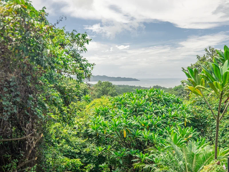 Land For Sale in Nosara