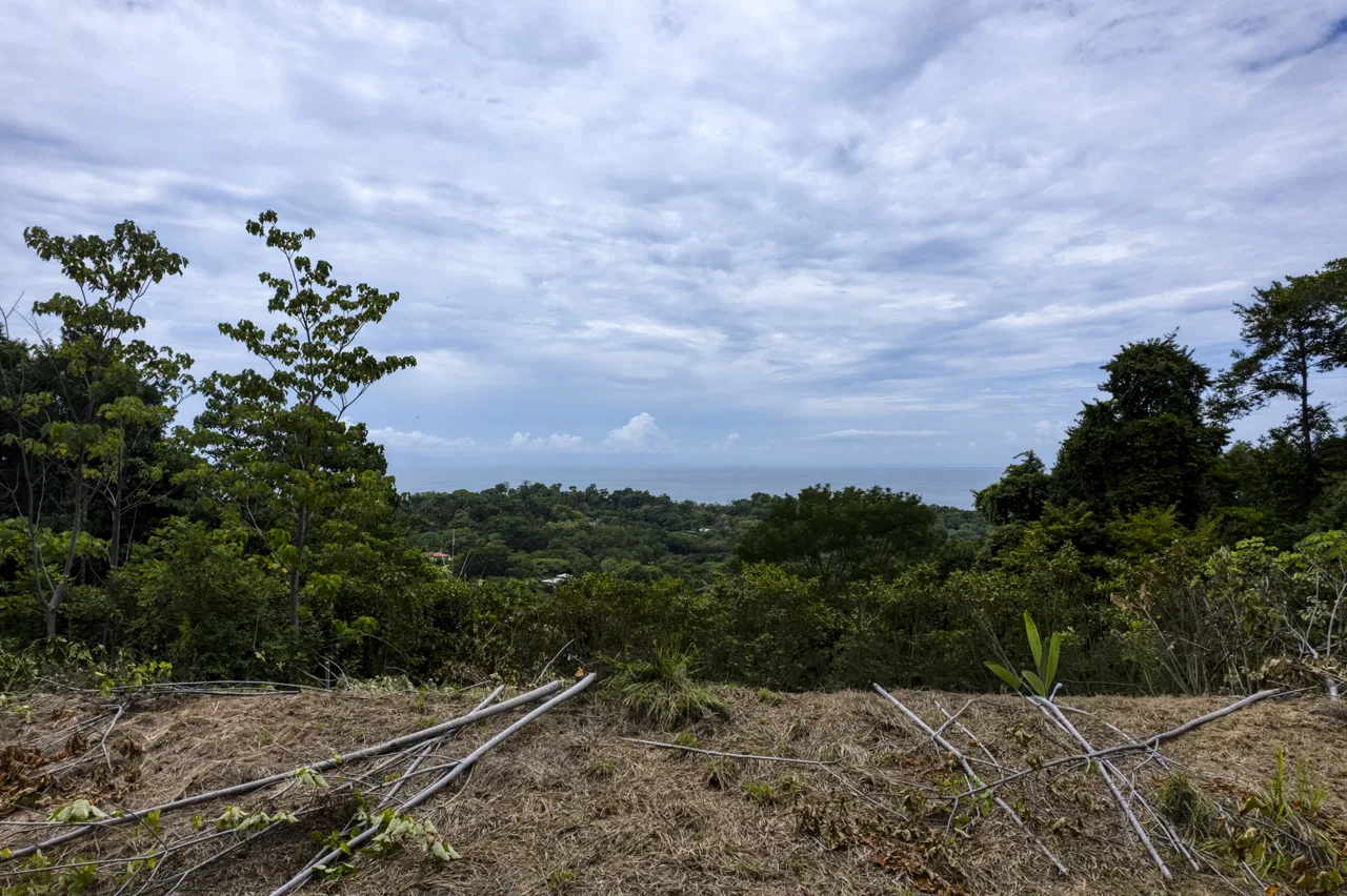 Vistas al mar, fácil acceso y potencial listo para construir en Playa Hermosa