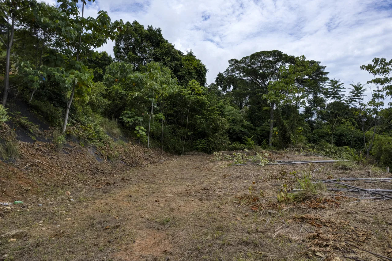 Vistas al mar, fácil acceso y potencial listo para construir en Playa Hermosa, photo 6