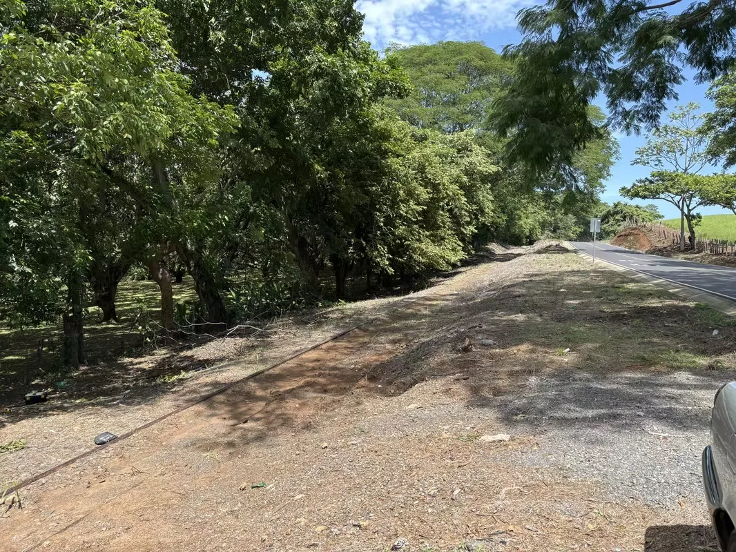 Posee una quebrada al fondo de la propiedad y está sembrado con árboles ...