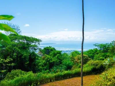 Ocean and Mountain View Lot 6 for Sale in Ballena Views – 5 Ventanas, Ojochal, photo 2
