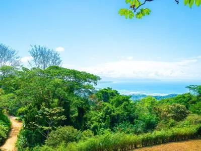 Ocean and Mountain View Lot 6 for Sale in Ballena Views – 5 Ventanas, Ojochal, photo 3