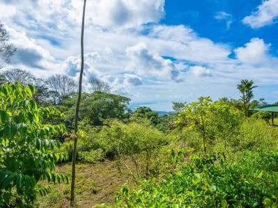 Ocean and Mountain View Lot 6 for Sale in Ballena Views – 5 Ventanas, Ojochal, photo 6