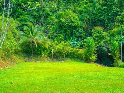 Ocean and Mountain View Lot 6 for Sale in Ballena Views – 5 Ventanas, Ojochal, photo 9