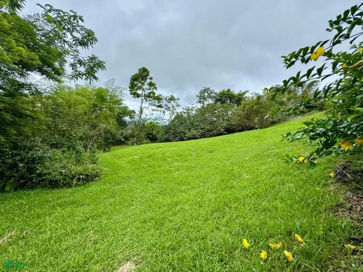 5 ACRES – Casa de 2 habitaciones fuera de la red más 2 cabañas para invitados!, photo 3
