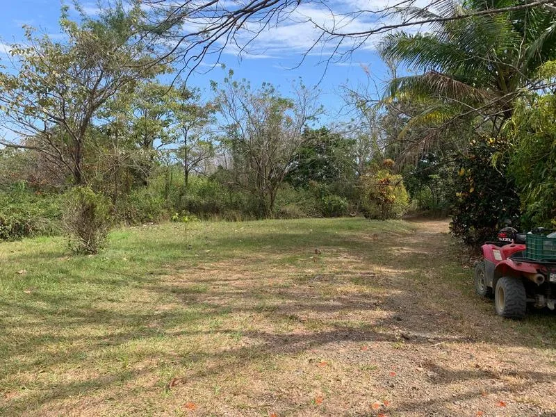3 Bed Single Family Homes For Sale in Delicias, photo 10
