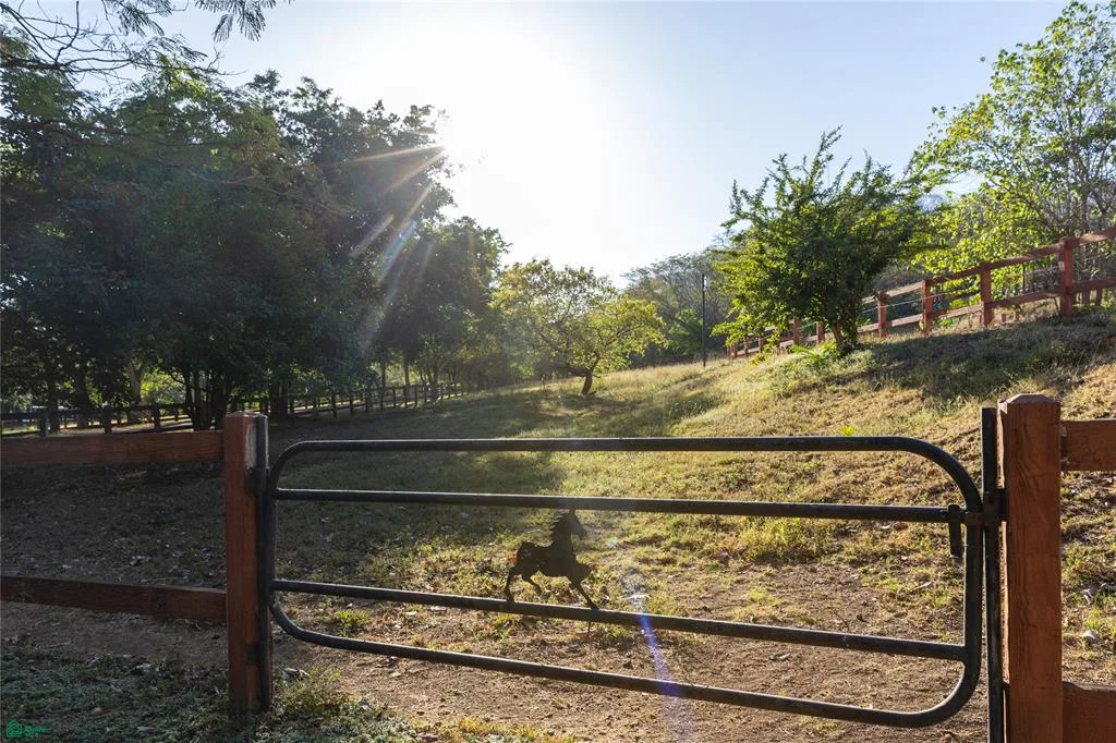 Centro de Ecuestra, photo 26